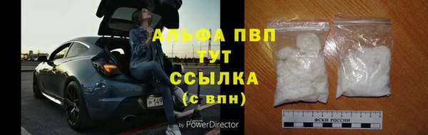 СК Белокуриха