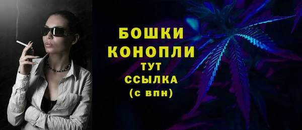 СК Белокуриха