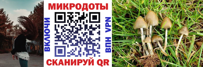 Галлюциногенные грибы мицелий  где продают   Ершов 